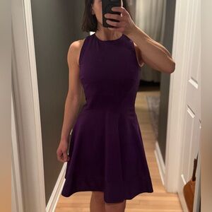 Ted Baker Jimena Fit & Flare Dress – Size 2 (US 6)